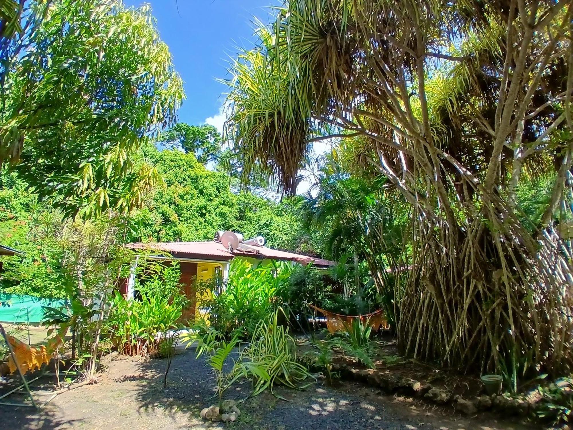Residence Les Manguiers Pointe-Noire Exterior photo